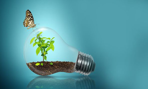 MG動(dòng)畫 MG動(dòng)畫