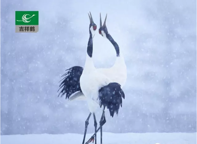 MG動畫淺談聲音的創(chuàng)作 MG動畫淺談聲音的創(chuàng)作