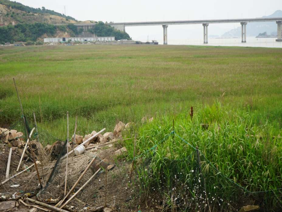 小門(mén)島